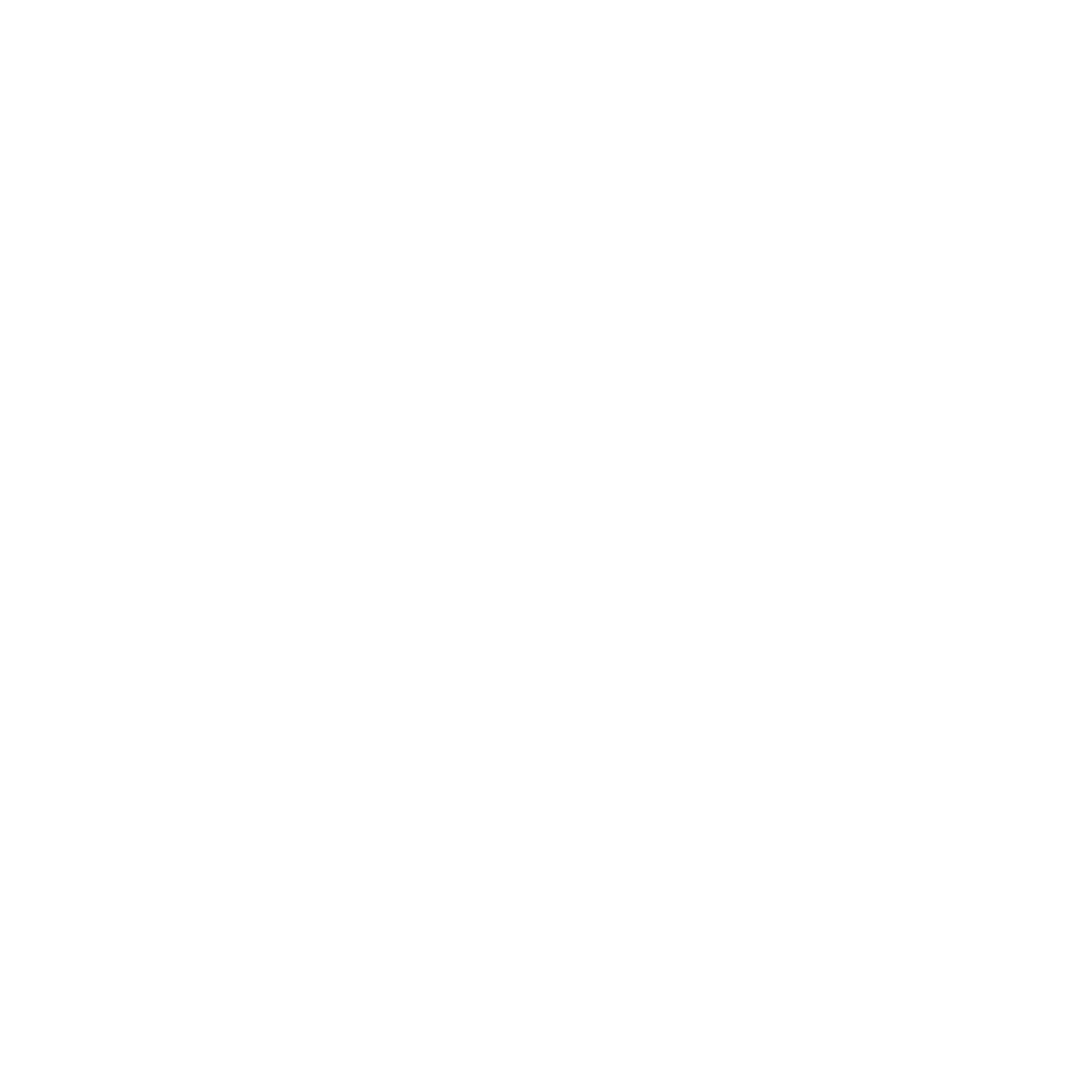 Mama Bear Wellness logo